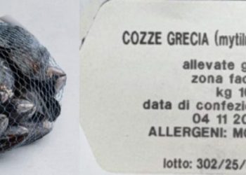 Ministero della Salute richiama cozze per rischio microbiologico