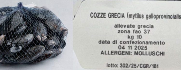 Ministero della Salute richiama cozze per rischio microbiologico