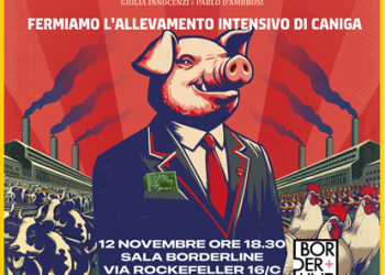 Food for Profit: i motivi per dire no all’allevamento di Caniga a Sassari