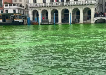 Il Canal Grande di Venezia si colora nuovamente di verde
