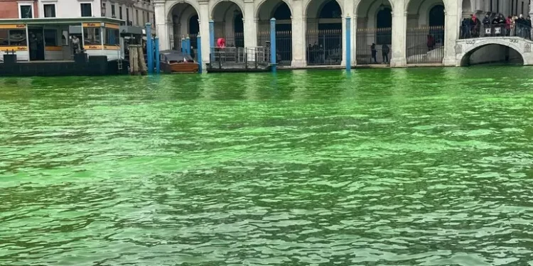 Il Canal Grande di Venezia si colora nuovamente di verde