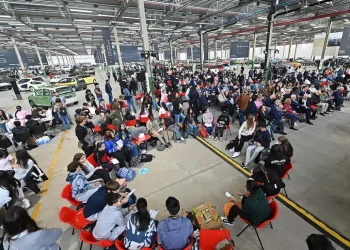 In Sardegna un giovane su cinque non studia e non lavora