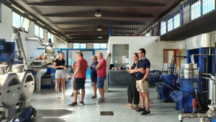 Oleoturismo: dall’accoglienza improvvisata all’esperienza memorabile. Il turista dell’olio non si accontenta più di un assaggio frettoloso