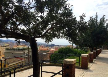 Cibo, suolo, salute: due iniziative del Laboratorio di ecologia urbana “Enrico Corti”