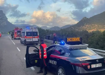 Cinghiale gli taglia la strada e finisce fuori strada con l’auto