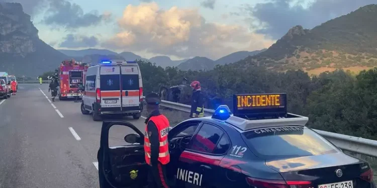 Cinghiale gli taglia la strada e finisce fuori strada con l’auto