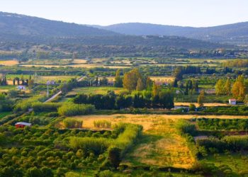 Due milioni e mezzo per i Gal e i Flag per attività varie, dalla formazione alla divulgazione