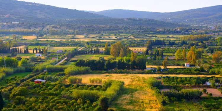 Due milioni e mezzo per i Gal e i Flag per attività varie, dalla formazione alla divulgazione