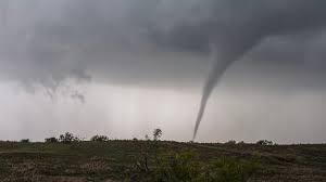 Maltempo, tromba d’aria devasta aziende agricole nell’Oristanese