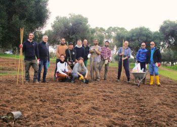 Parco di Molentargius: messi a dimora i primi 80 olivi del progetto “Percorsi di olivicoltura”