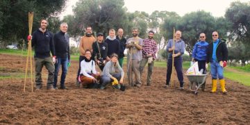 Parco di Molentargius: messi a dimora i primi 80 olivi del progetto “Percorsi di olivicoltura”