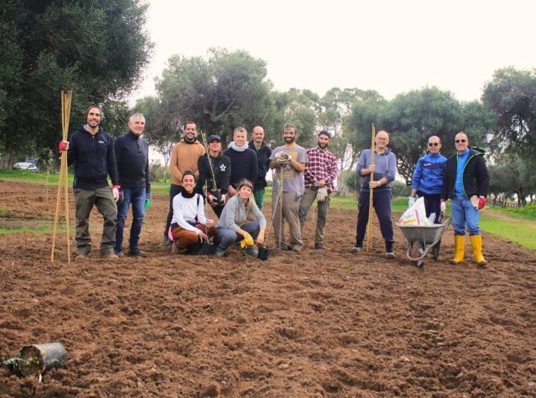 Parco di Molentargius: messi a dimora i primi 80 olivi del progetto “Percorsi di olivicoltura”