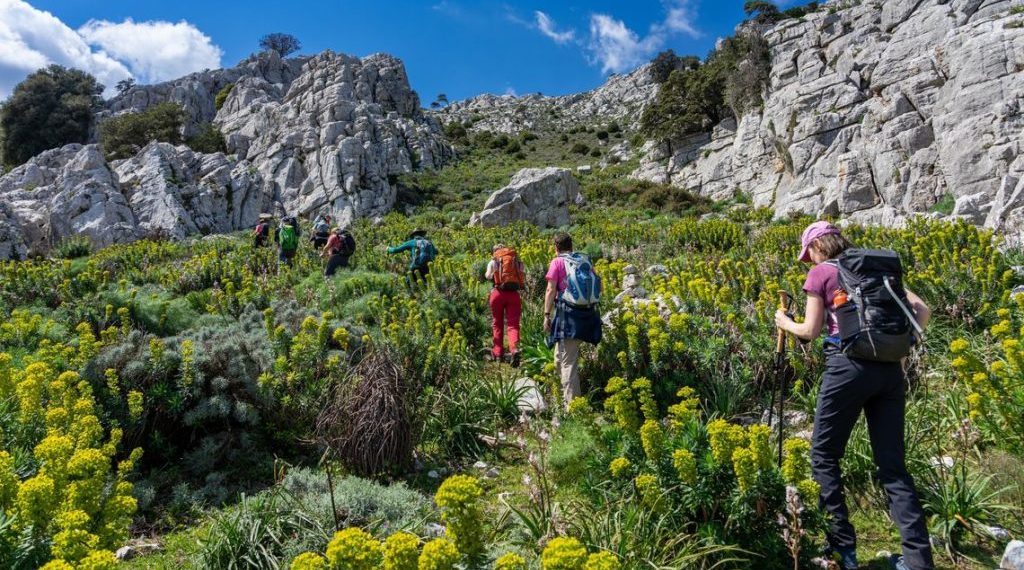 Investire sul patrimonio per creare lavoro: la Regione punta su guide turistiche e ambientali