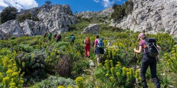 Investire sul patrimonio per creare lavoro: la Regione punta su guide turistiche e ambientali