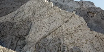Scoperte migliaia di orme di dinosauri nel Parco dello Stelvio