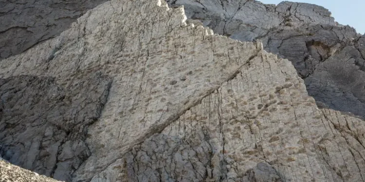 Scoperte migliaia di orme di dinosauri nel Parco dello Stelvio