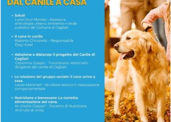 Dal canile alla casa, un percorso di cura e consapevolezza il 18 dicembre al Centro culturale La Vetreria