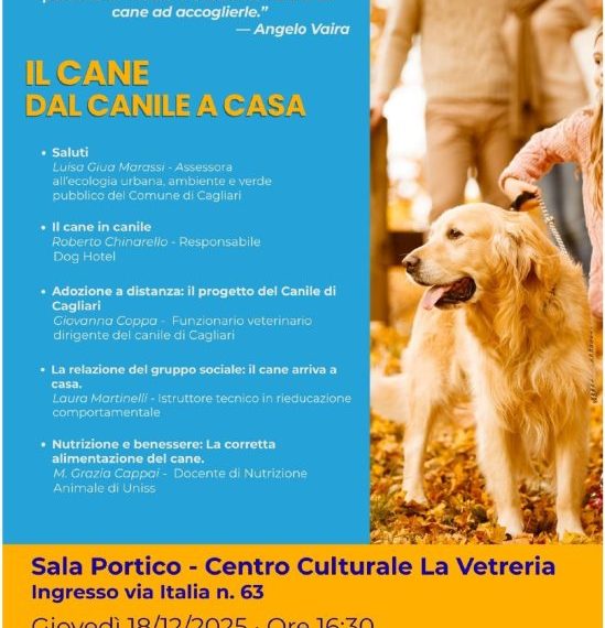 Dal canile alla casa, un percorso di cura e consapevolezza il 18 dicembre al Centro culturale La Vetreria