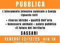 Sassari, assemblea pubblica contro allevamento di Caniga