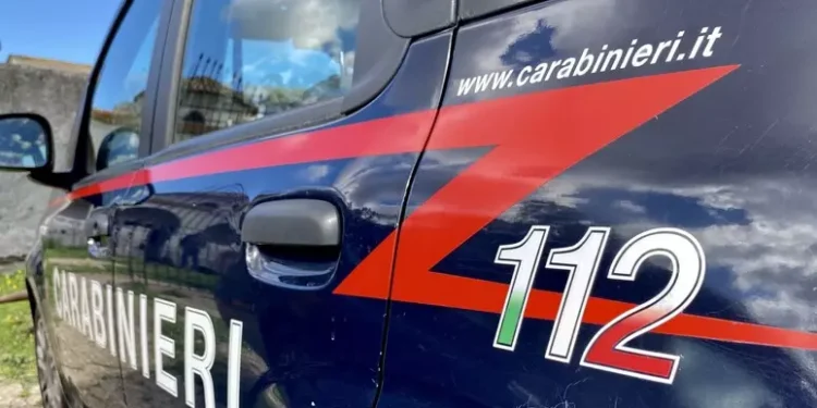 Uccide il cane di famiglia a calci, denunciato a Oliena