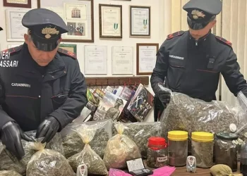 Scappa al posto di blocco dei carabinieri, a casa aveva 8 kg di marijuana