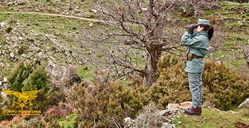Uta, strada abusiva nell’area protetta: denunciato il titolare di un’impresa di movimentazione terra