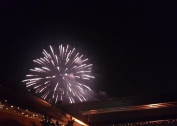 Wwf: “Stop ai botti di capodanno provocano morte e traumi alla fauna”