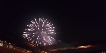 Wwf: “Stop ai botti di capodanno provocano morte e traumi alla fauna”