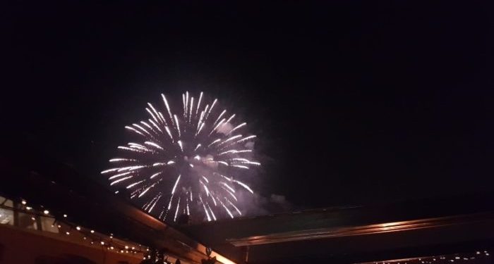 Wwf: “Stop ai botti di capodanno provocano morte e traumi alla fauna”