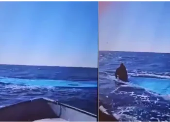 Alarm Phone: ‘Dispersa una nave con 117 migranti a bordo’