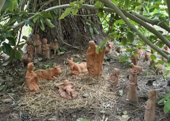 All’Orto Botanico dell’Università di Cagliari il presepe della tradizione Asseminese