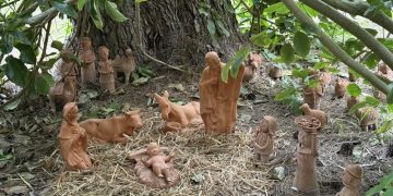 All’Orto Botanico dell’Università di Cagliari il presepe della tradizione Asseminese