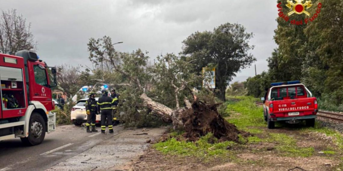 Terrore a Tortolì, albero cade su auto in transito: due persone ferite