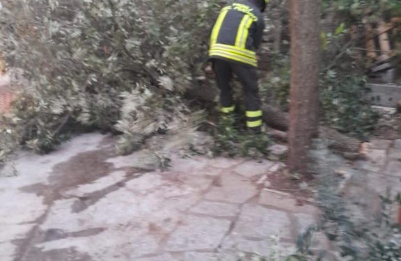 Maltempo nel Nuorese: il vento sradica alberi e pali