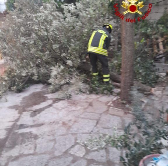 Maltempo nel Nuorese: il vento sradica alberi e pali
