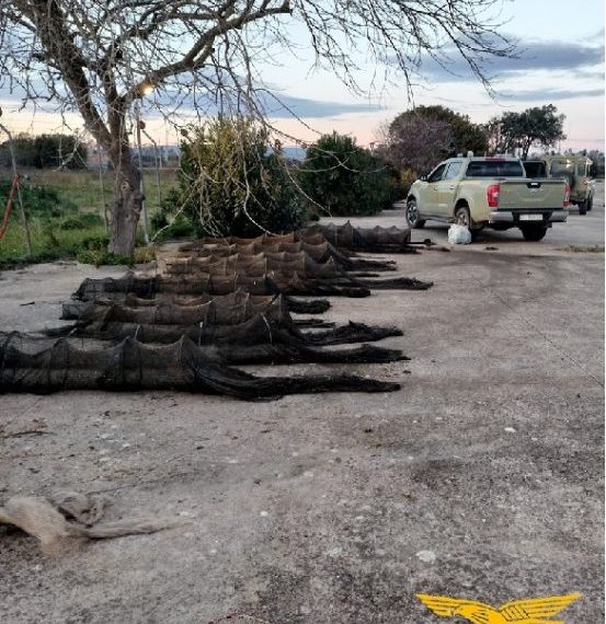 Pesca abusiva, nello stagno di Santa Giusta trenta reti sequestrate col blitz della Forestale