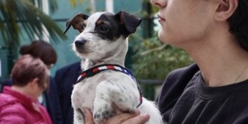 Apre all’aeroporto di Cagliari un’area riservata agli animali