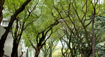 Alghero, calendario spazzamento meccanizzato