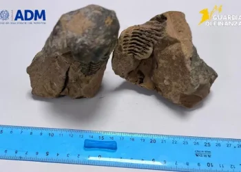 Turista fermato all’aeroporto di Alghero con un reperto archeologico trafugato