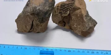 Turista fermato all’aeroporto di Alghero con un reperto archeologico trafugato