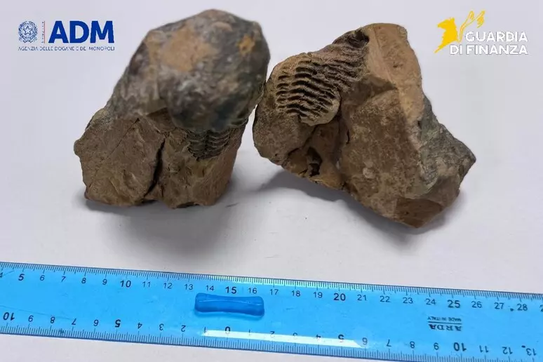 Turista fermato all’aeroporto di Alghero con un reperto archeologico trafugato