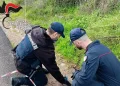 Trovata una bomba carta inesplosa, artificieri in campo a Olbia