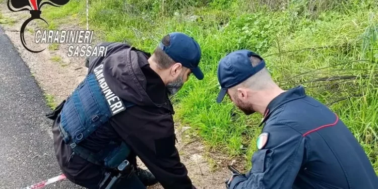 Trovata una bomba carta inesplosa, artificieri in campo a Olbia