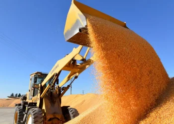 Cina, boom nella produzione di cereali nel 2025