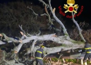 Maltempo sull’isola: il vento imperversa sulla Sardegna