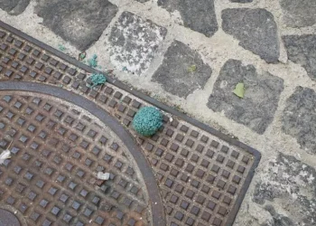 Emergenza esche avvelenate a Cagliari, scattano i controlli del Comune