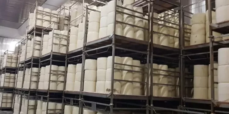 Export, mercato a due velocità per le imprese sarde negli Usa