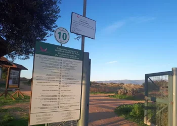 Cagnolini seviziati e uccisi a Cagliari, ‘chi sa parli’