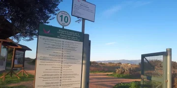 Cagnolini seviziati e uccisi a Cagliari, ‘chi sa parli’