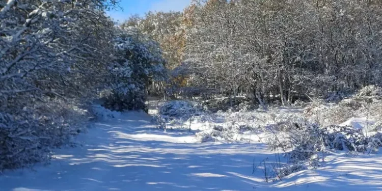 Freddo e neve in Sardegna, scatta l’allerta meteo